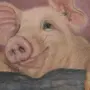 Картинка Свинья С Поросятами