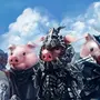 Три Свиньи