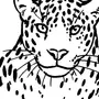 Леопард Детский Рисунок