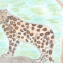 Дальневосточный Леопард Рисунок