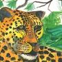 Дальневосточный леопард рисунок