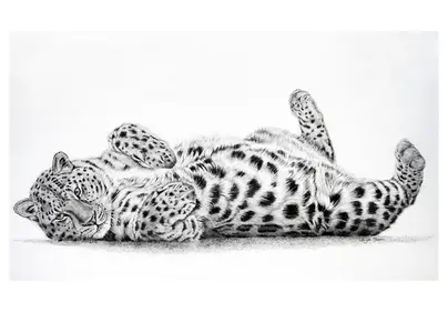 Леопард рисунок для детей
