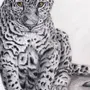 Леопард Рисунок Для Детей
