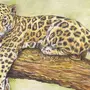 Рисунок леопард