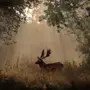 Олень в лесу