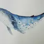 Голубой кит рисунок