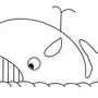 Картинка раскраска кит