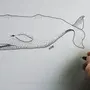 Кит рисунок карандашом