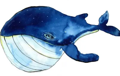 Сообщество синий кит и информация