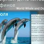 День кита 19 февраля картинки