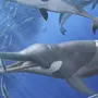 Эволюция китов в картинках