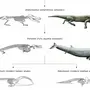 Эволюция китов в картинках
