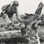 Военные Собаки