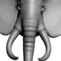 Голова слона рисунок