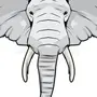 Голова Слона Рисунок
