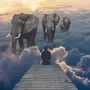 Облачные слоны картинки