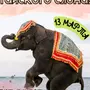 День тайского слона 13 марта картинки
