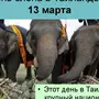День тайского слона 13 марта картинки