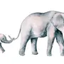 Картинка слона для детей на белом фоне