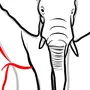 Рисунок Слона 3 Класс