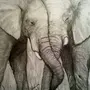 Слон рисунок