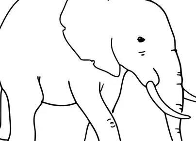 Слон черно белая картинка