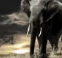 Скачать слона