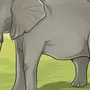 Картинки Слона Для Срисовки