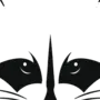 Черно белые картинки енотов