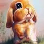 Картинка Плачущего Зайца