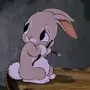 Картинка плачущего зайца