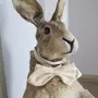 Картинка заяц в одежде