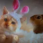 Кот И Кролик Картинки