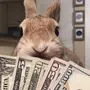 Кролик С Деньгами Картинки