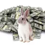 Кролик с деньгами картинки