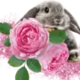 Кролик с цветами картинки