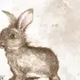 Кролики Картинки Нарисованные