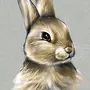 Кролики картинки нарисованные