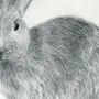 Кролики картинки нарисованные
