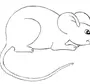 Мышь Картинки Нарисованные