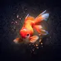 Золотая рыбка в море