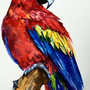 Нарисованный попугай