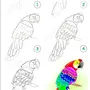 Попугай Рисунок Для Детей