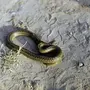 Змеи крыма