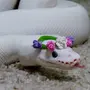 Милая змея