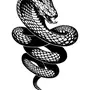 Змея картинка черно белая