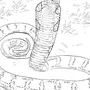 Змея Картинка Раскраска