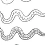 Змея рисунок легкий