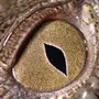 Глаза змеи