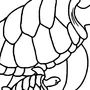 Морская черепашка картинка для детей